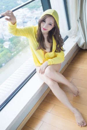大明王朝1566
