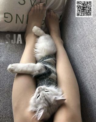 叶罗丽第八季免费观看