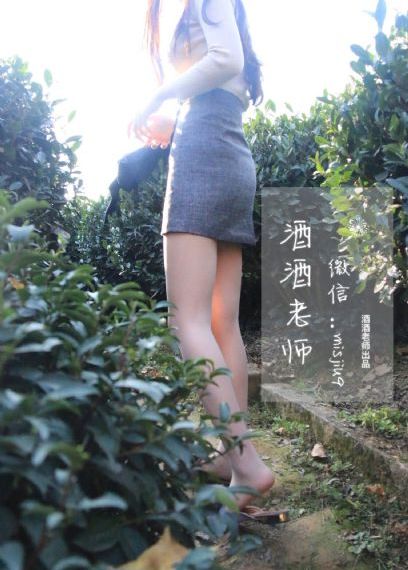 美丽的丽莎1980意大利语翻译中