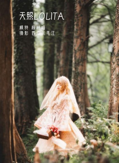 无所畏惧电视剧全集完整版