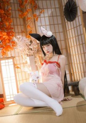征服电视剧
