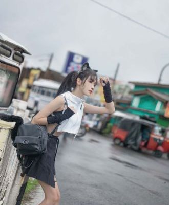流星蝴蝶剑电视剧