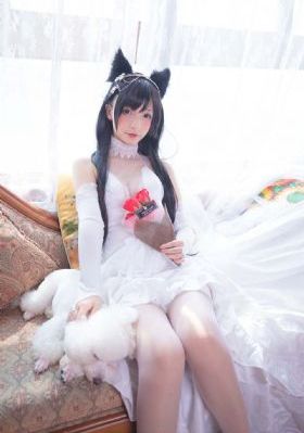 完美的妻子